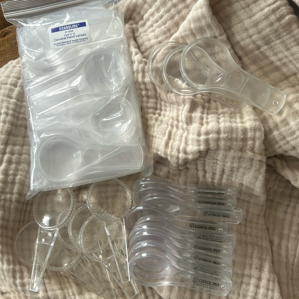Class set of plastic Hand Lenses